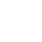 Daily Brain Bits White Logo